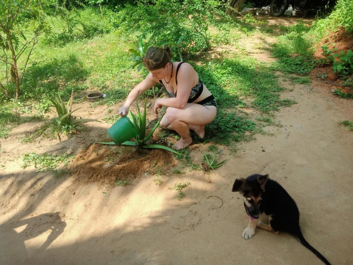 Beach Bungalow Yala Киринда Екстериор снимка