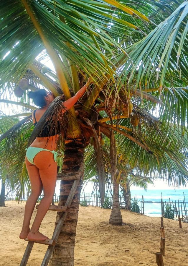 Beach Bungalow Yala Киринда Екстериор снимка