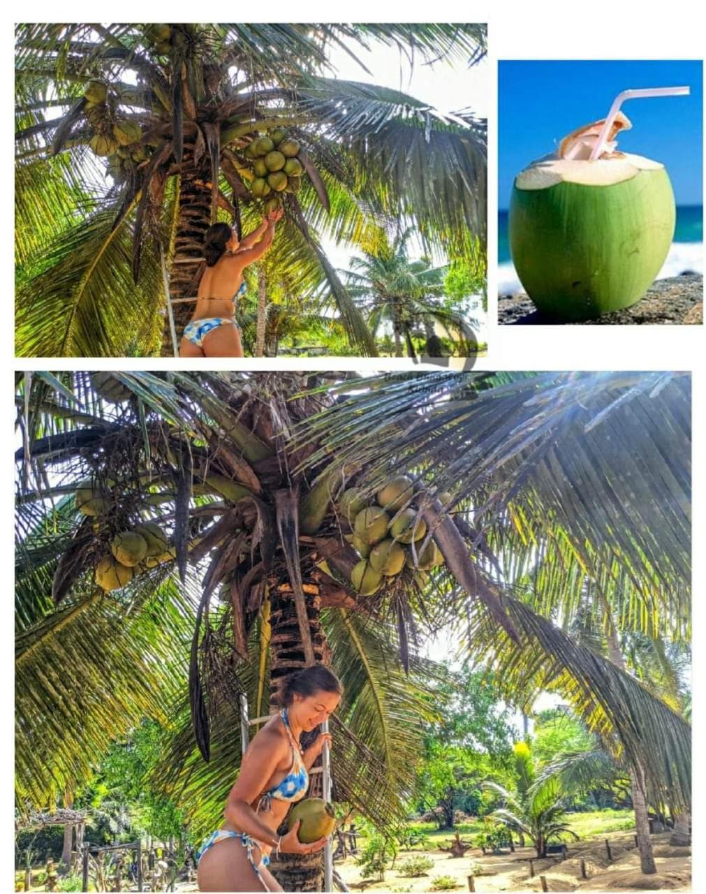 Beach Bungalow Yala Киринда Екстериор снимка